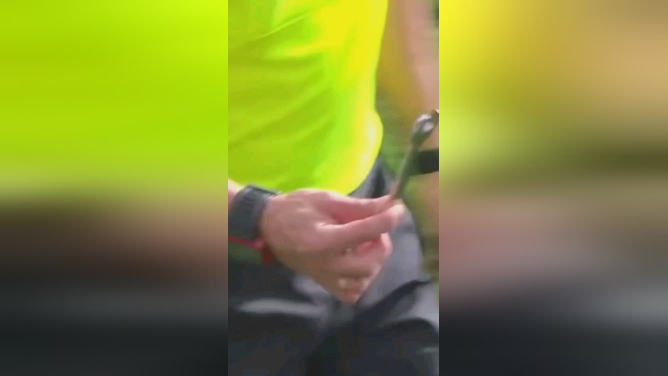 晚中不仅丰